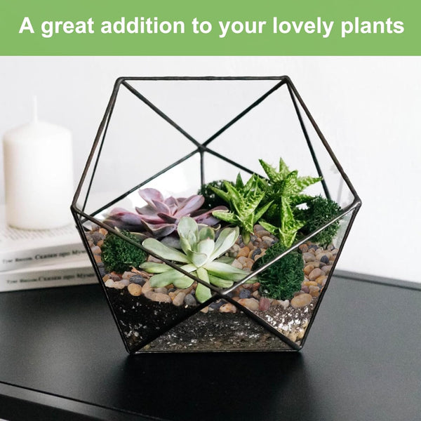 Decorative Plant Pebbles