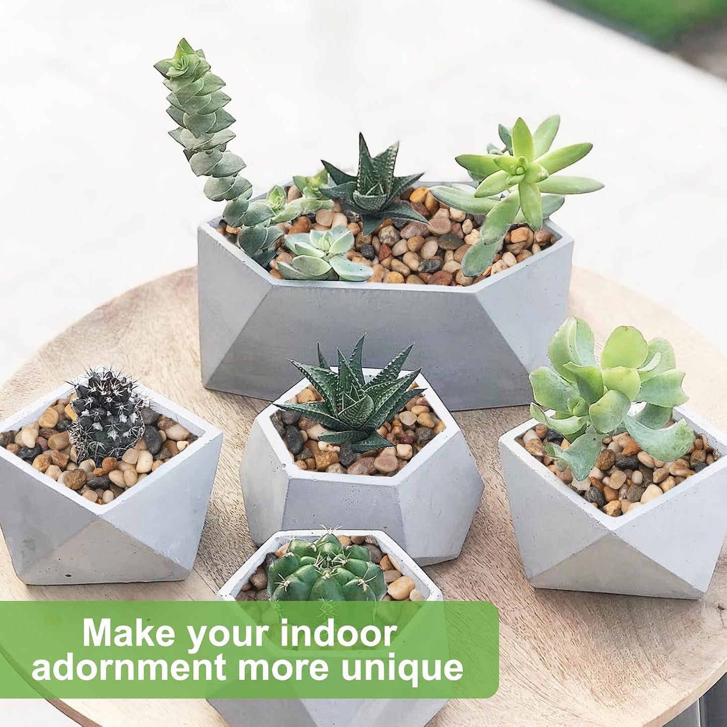 Decorative Plant Pebbles