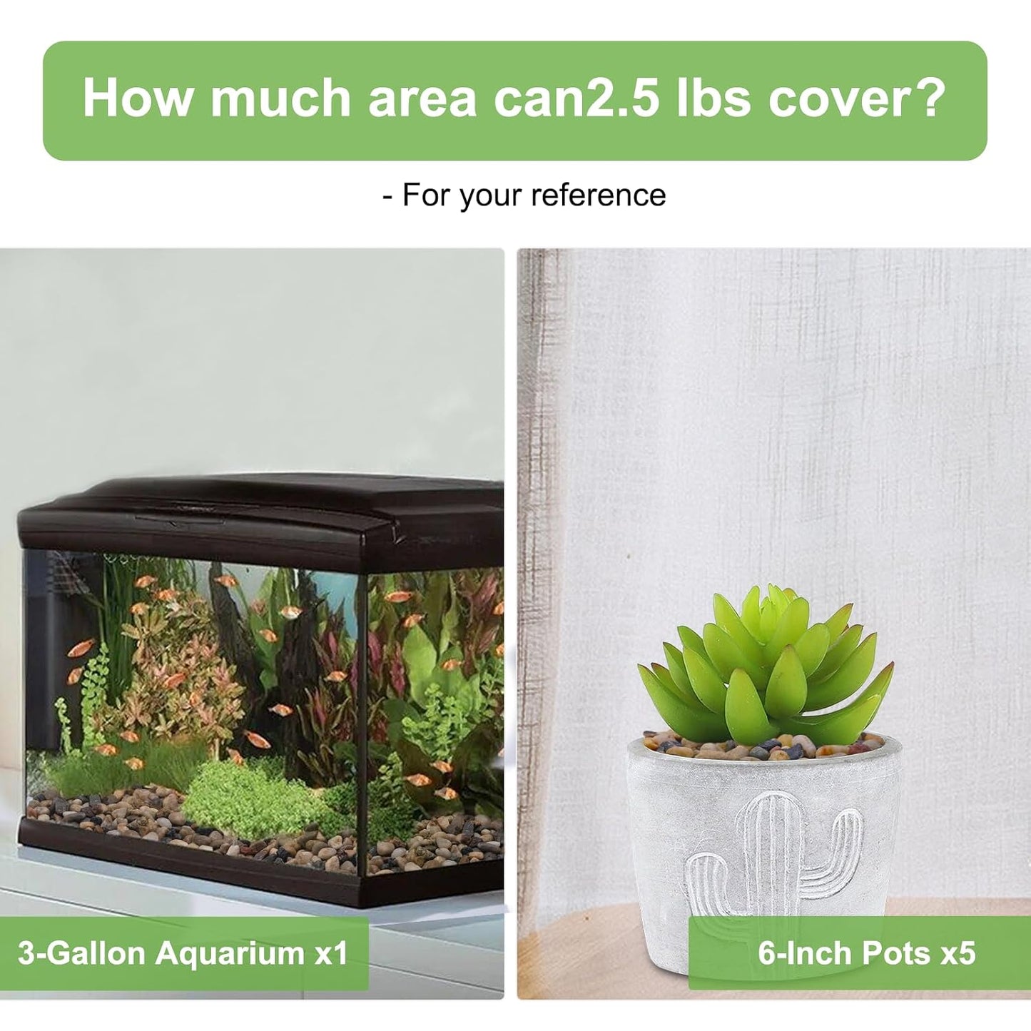 Decorative Plant Pebbles
