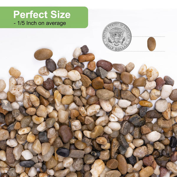 Decorative Plant Pebbles